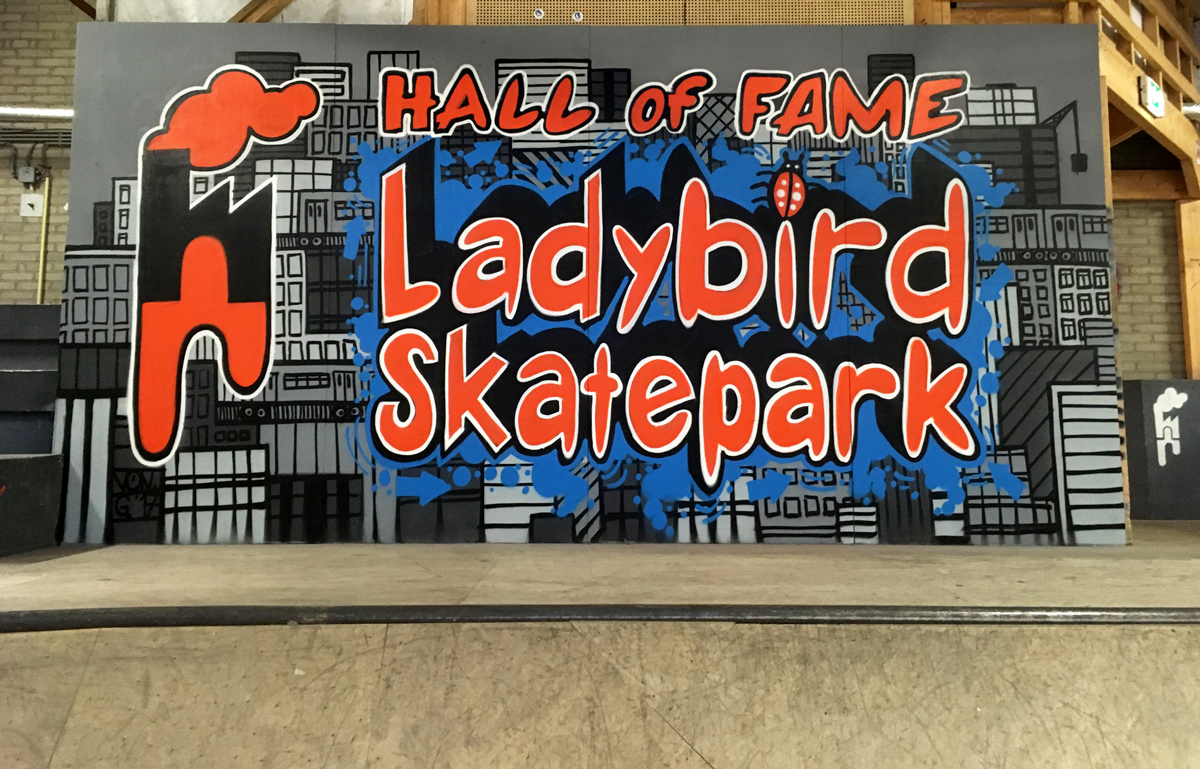 graffiti-muurschildering-ladybird-skatepark