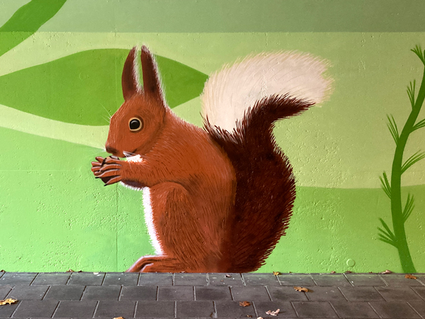 muurschildering-fietstunnel-eekhoorn